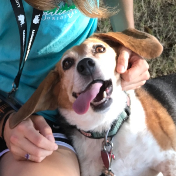 Meet your Posher, Anna - Picture 2 of 3